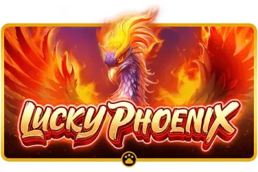 hgg88